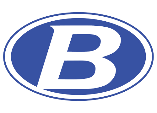 brunswick-city-schools-logo